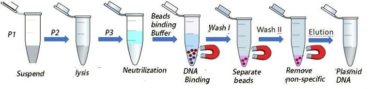 Plasmid DNA Extraction Kits - GeneNano