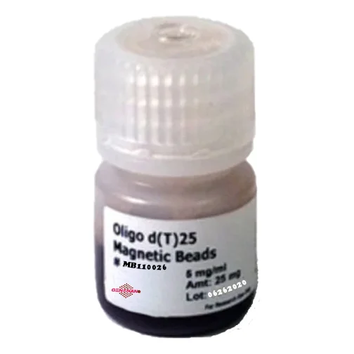 Oligo dT25